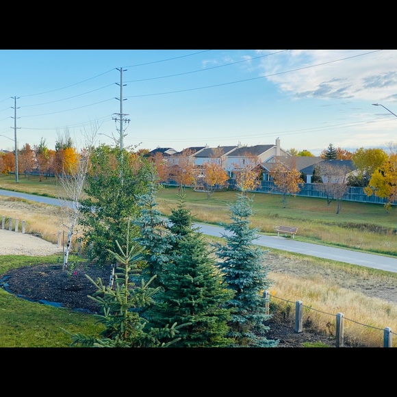 Meet your Posher, Chalani - Picture 1 of 1